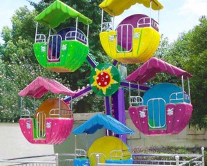 amusement park mini ferris wheel