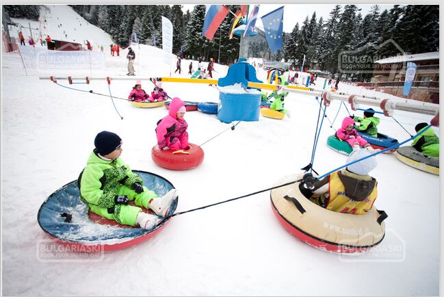 Inflatable Bumper Cars