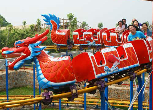 Amusement park dragon slide roller coasters