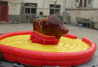 bull riding machine for backyard