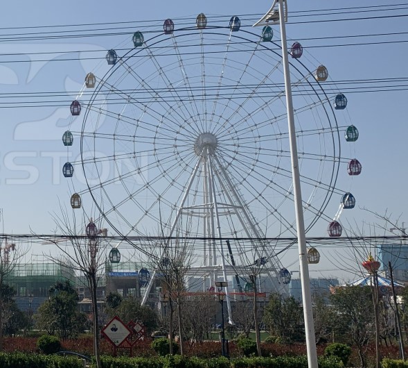 giant ferris wheel prices